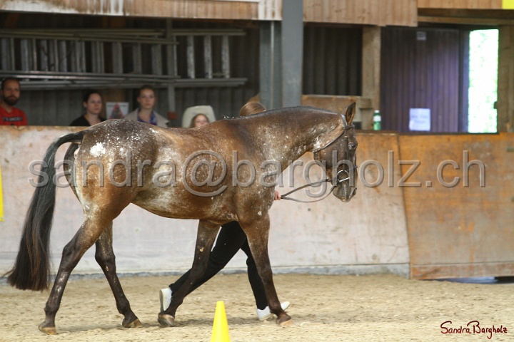 24-ApHC HIH_099.jpg